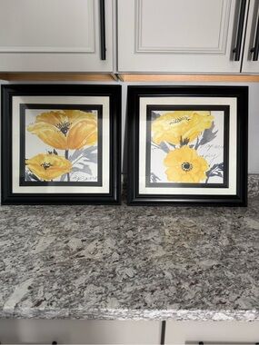 Yellow Floral Framed Wall Art - Set of 2 19x18